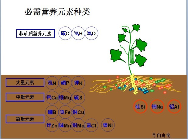 小品演員換新式發(fā)型當“嘀嘀司機”