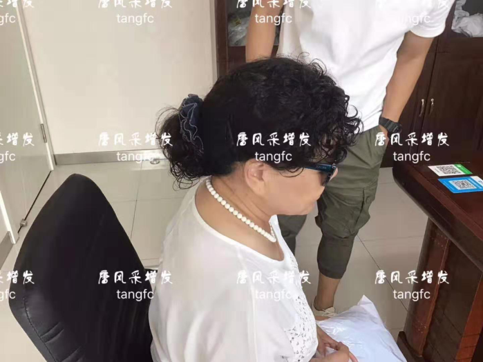 中老年女式假發(fā)套